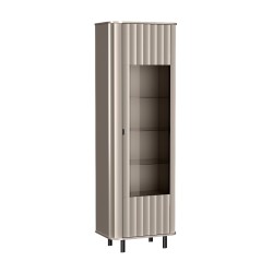 Witryna do salonu NEVADA – nowoczesny styl i praktyczne przechowywanie