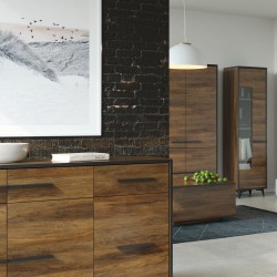 Szafka RTV FELIA 2D2S – nowoczesna i praktyczna