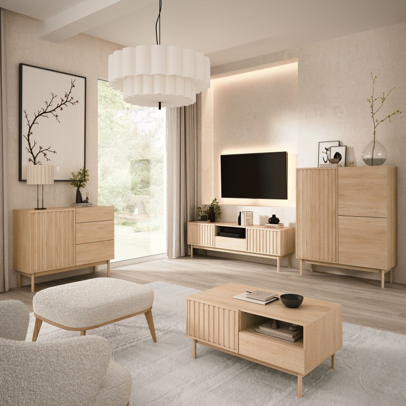 Szafka RTV SAPPORO 2 drzwi + szuflada – nowoczesny design i funkcjonalność